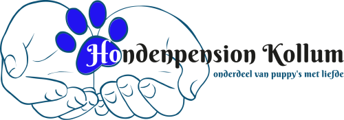 Hondenpension Kollum